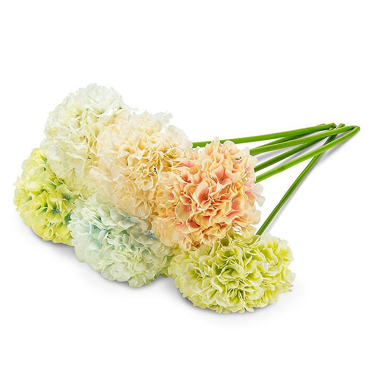 GRANDE TIGE D'HORTENSIA