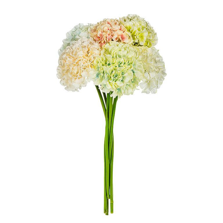 GRANDE TIGE D'HORTENSIA