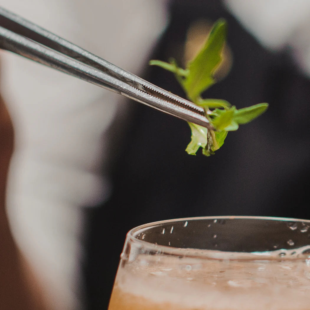 PINCE PRÉCISION DROITE