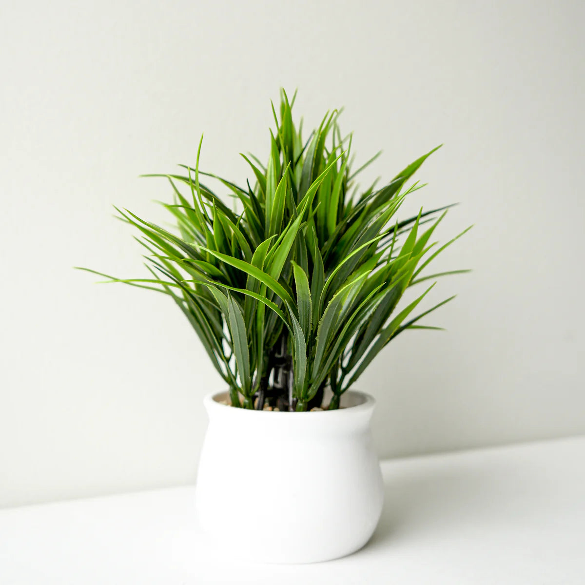 HERBE EN POT BLANC