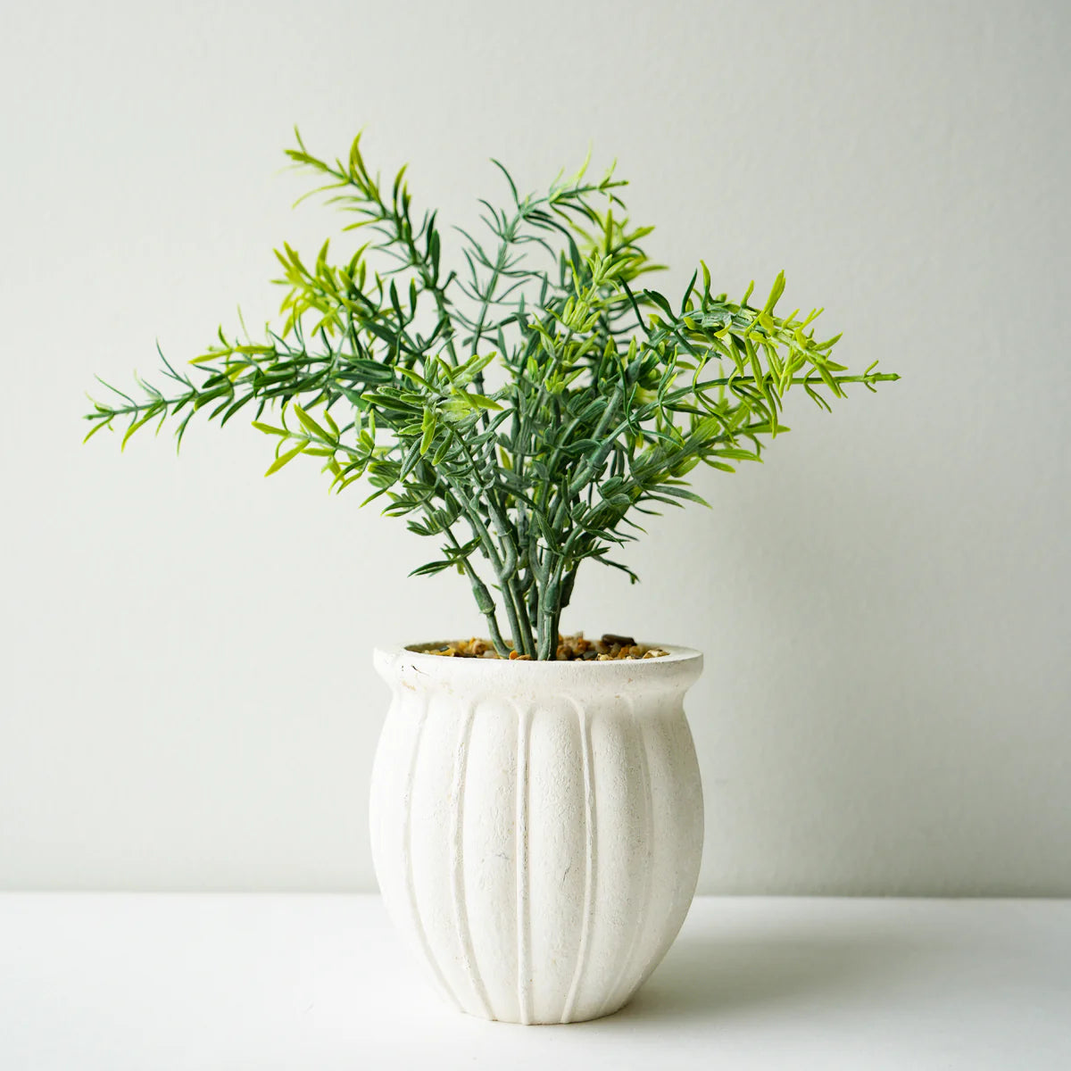 BOUQUET DE ROMARIN EN POT