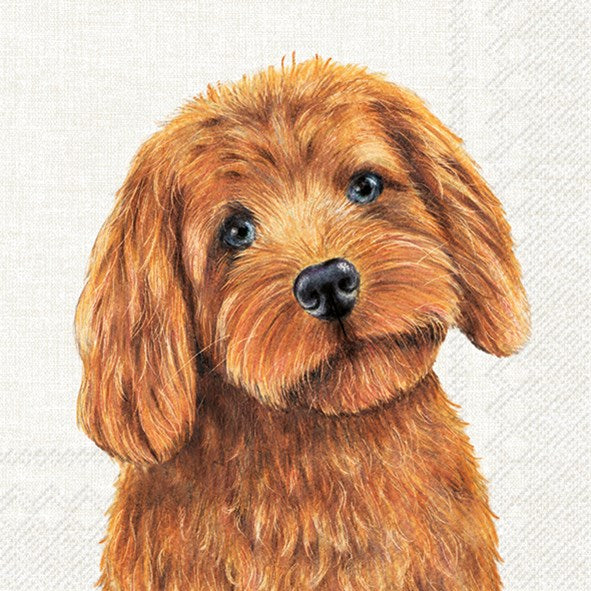 PQT 20 SERVIETTES FARM DOGS