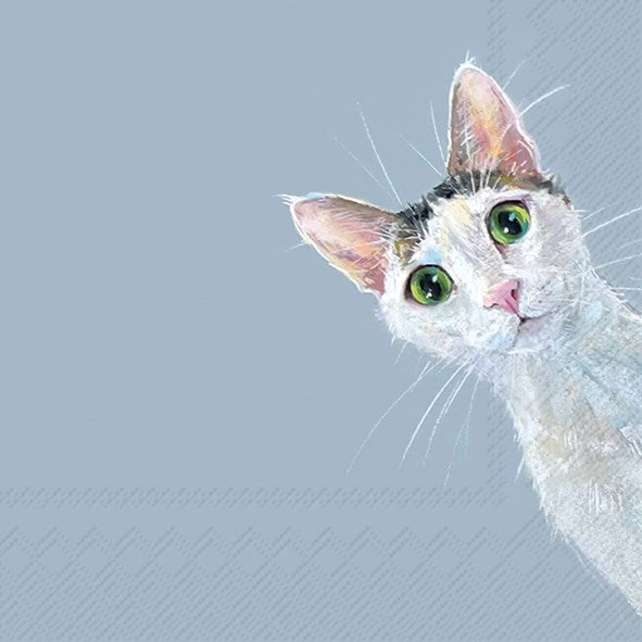 PQT 20 SERVIETTES CHAT STELLA