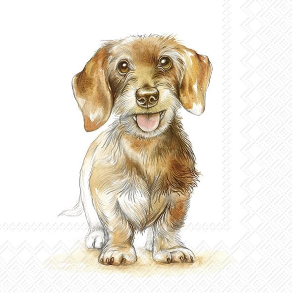 PQT 20 SERVIETTES - CHIEN FRITZ