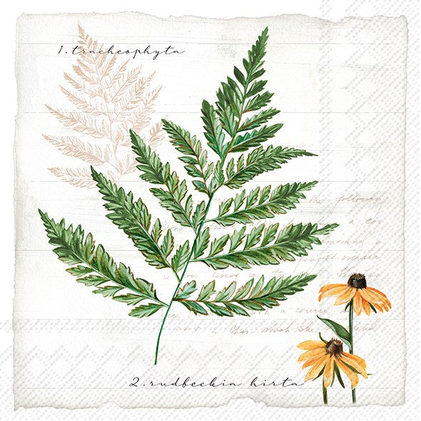 PQT 20 SERVIETTES MY LITTLE FERN