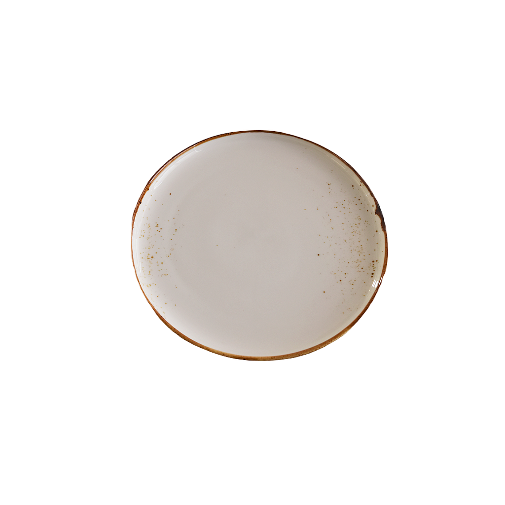 ASSIETTE RONDE TERRA BLANC 9.5 PO