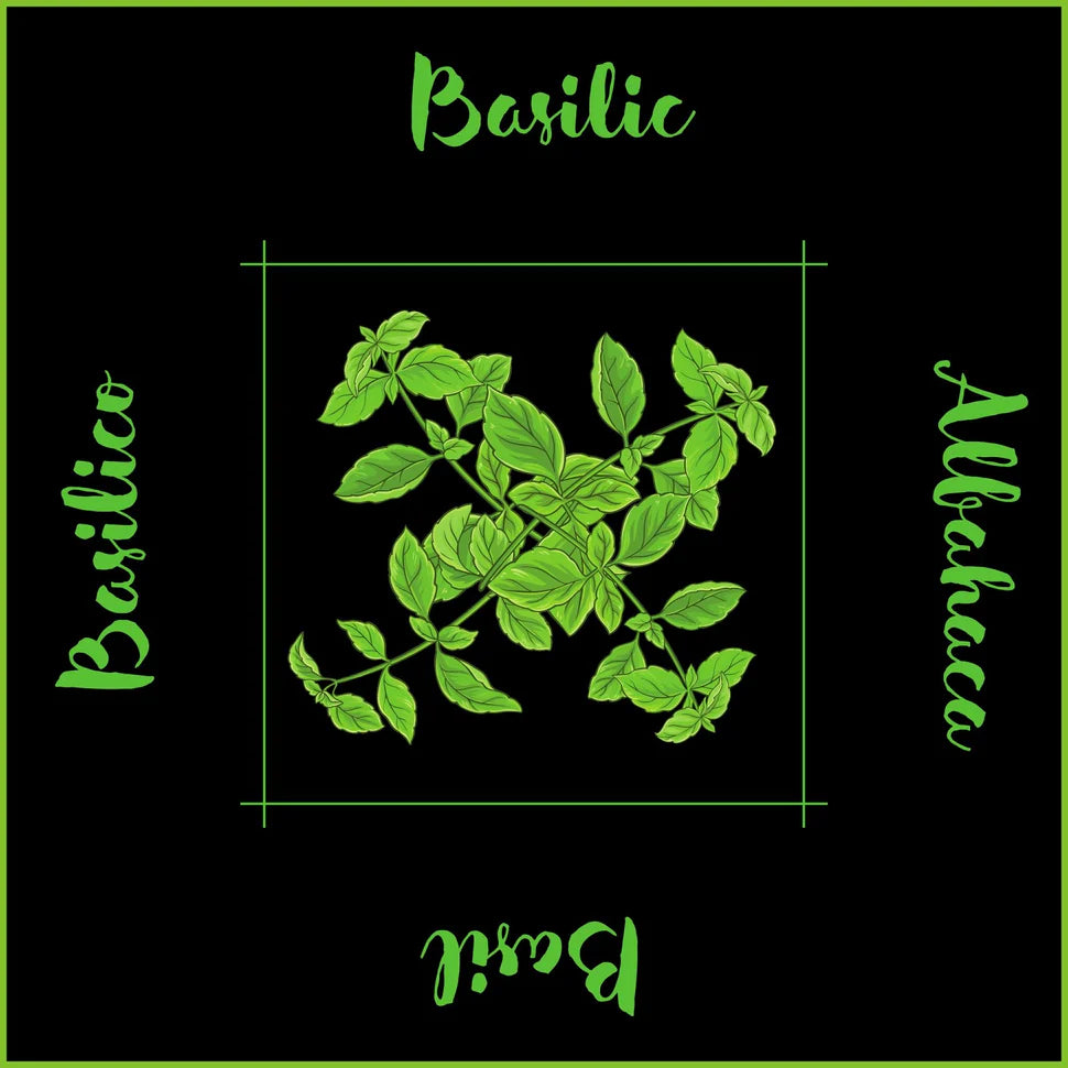 PQT 6 SERVIETTES FINES HERBES