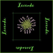PQT 6 SERVIETTES FINES HERBES