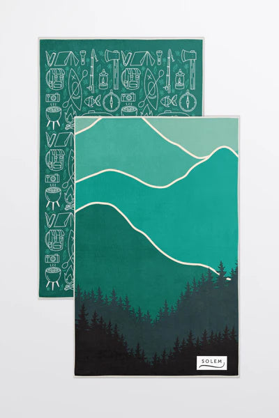 2 LINGES VAISSELLE MICROFIBRE - HORIZON