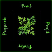 PQT 6 SERVIETTES FINES HERBES