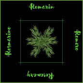 PQT 6 SERVIETTES FINES HERBES