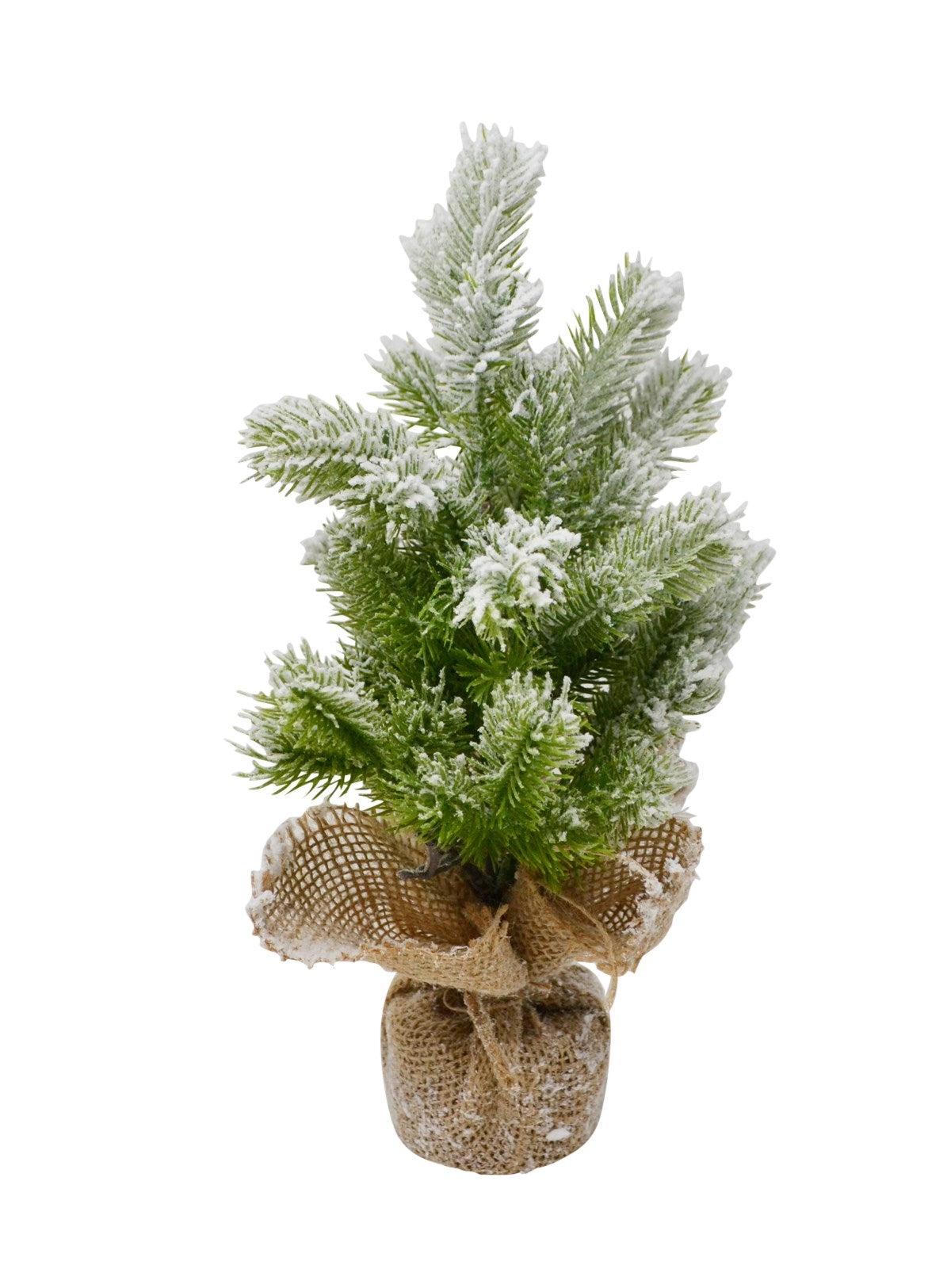 SAPIN DANS UN SAC DE JUTE
