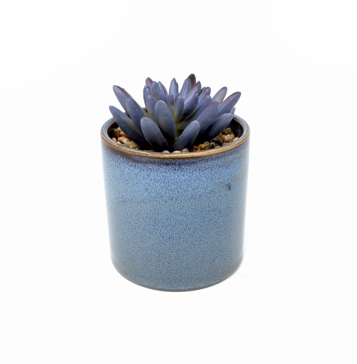 SUCCULENT BLEU POT CYLINDRIQUE