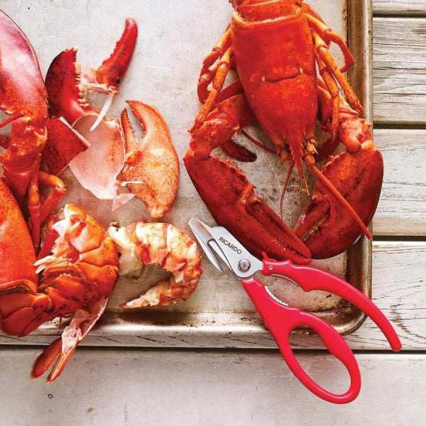 CISEAU FRUITS DE MER RICARDO