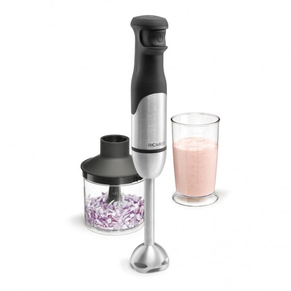 MÉLANGEUR MAIN 300W RICARDO