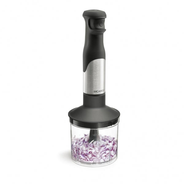 MÉLANGEUR MAIN 300W RICARDO