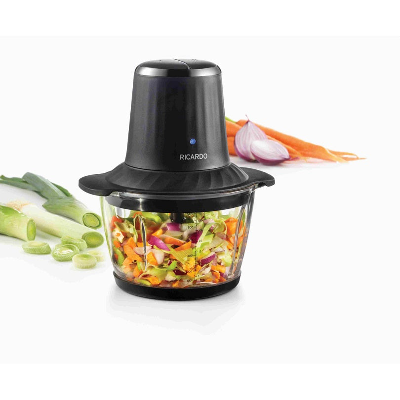 PETIT ROBOT CULINAIRE RICARDO