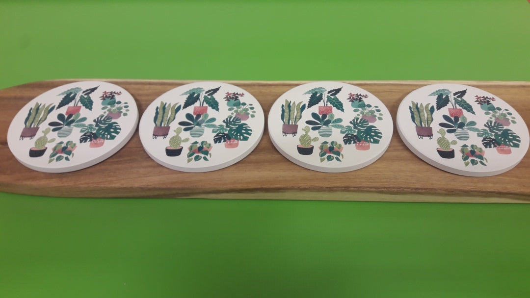ENS. 4 SOUS-VERRES PLANTES