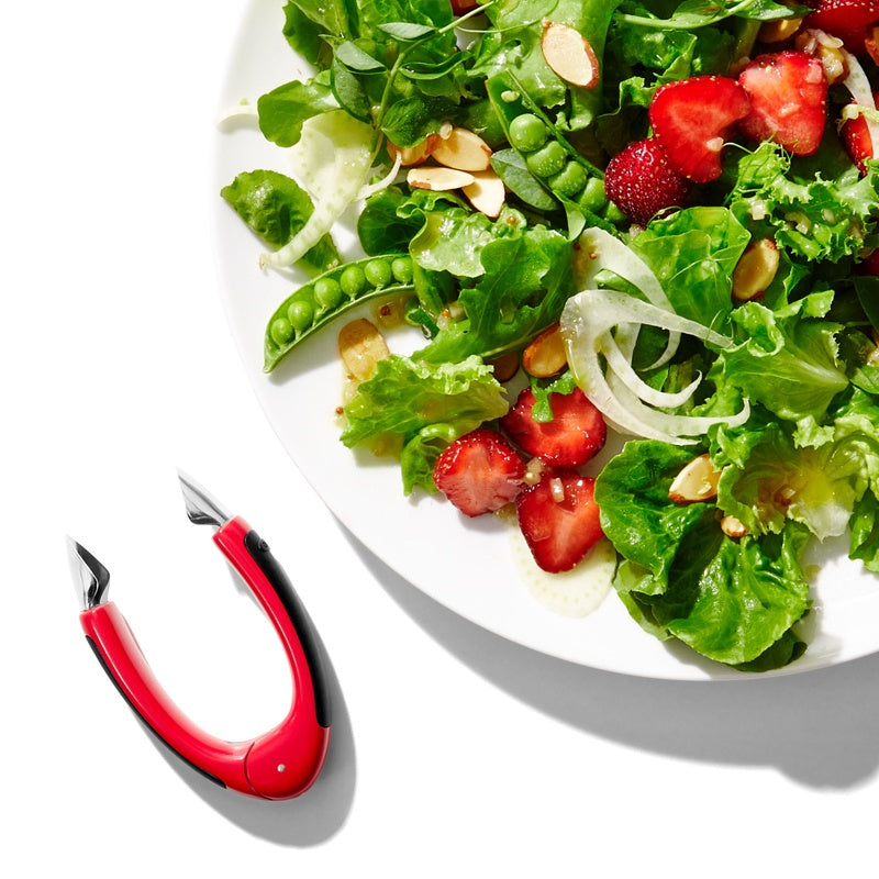 EQUEUTEUR FRAISES OXO