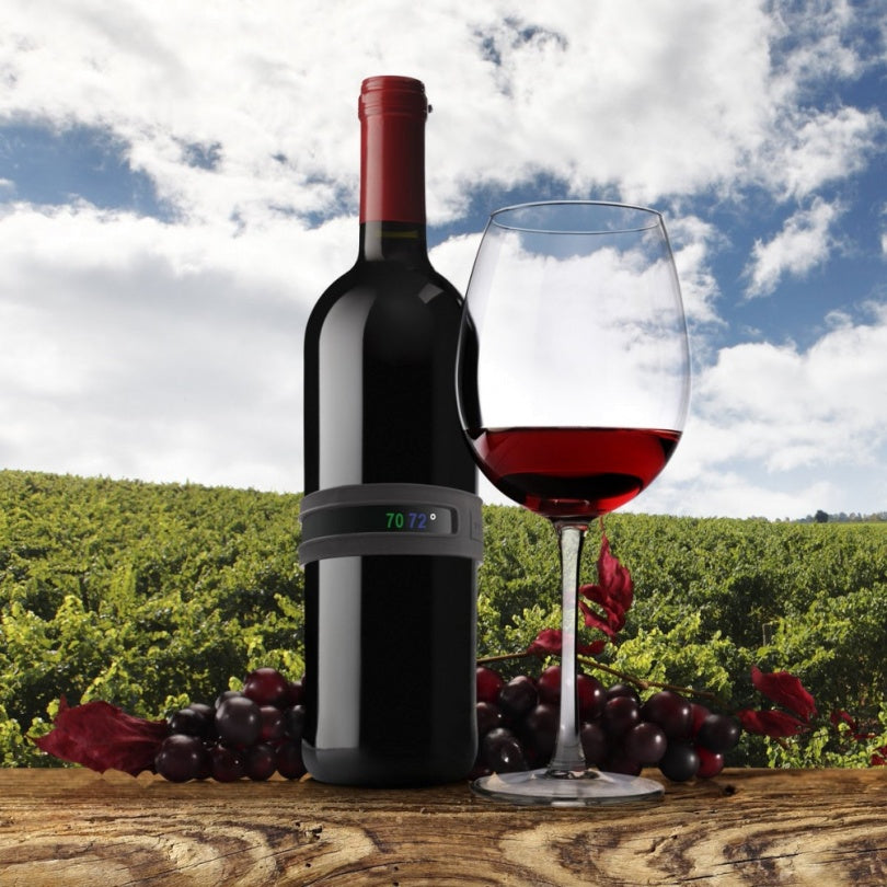 THERMOMETRE VIN SNAP