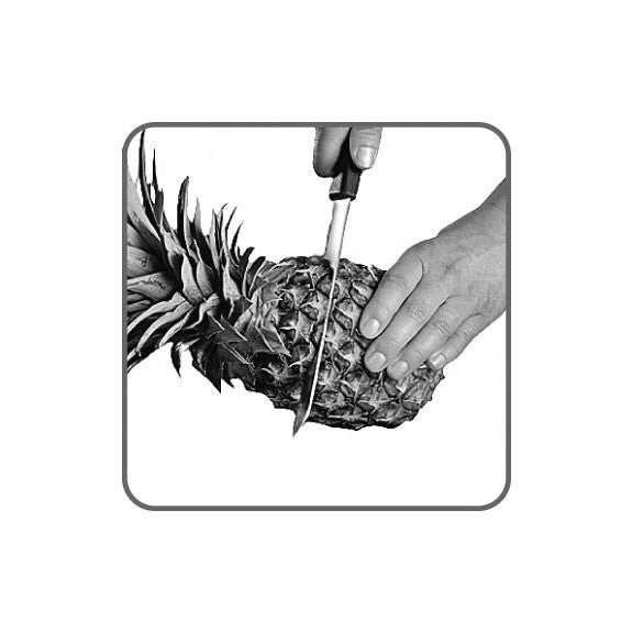 TRANCHE ANANAS NOIR&BLANC