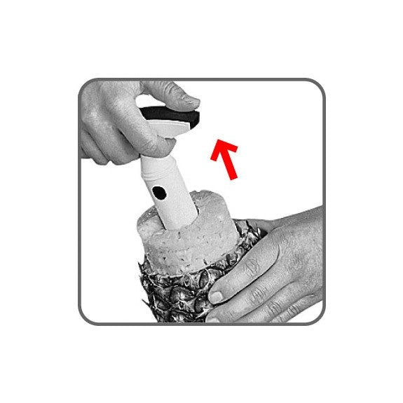 TRANCHE ANANAS NOIR&BLANC