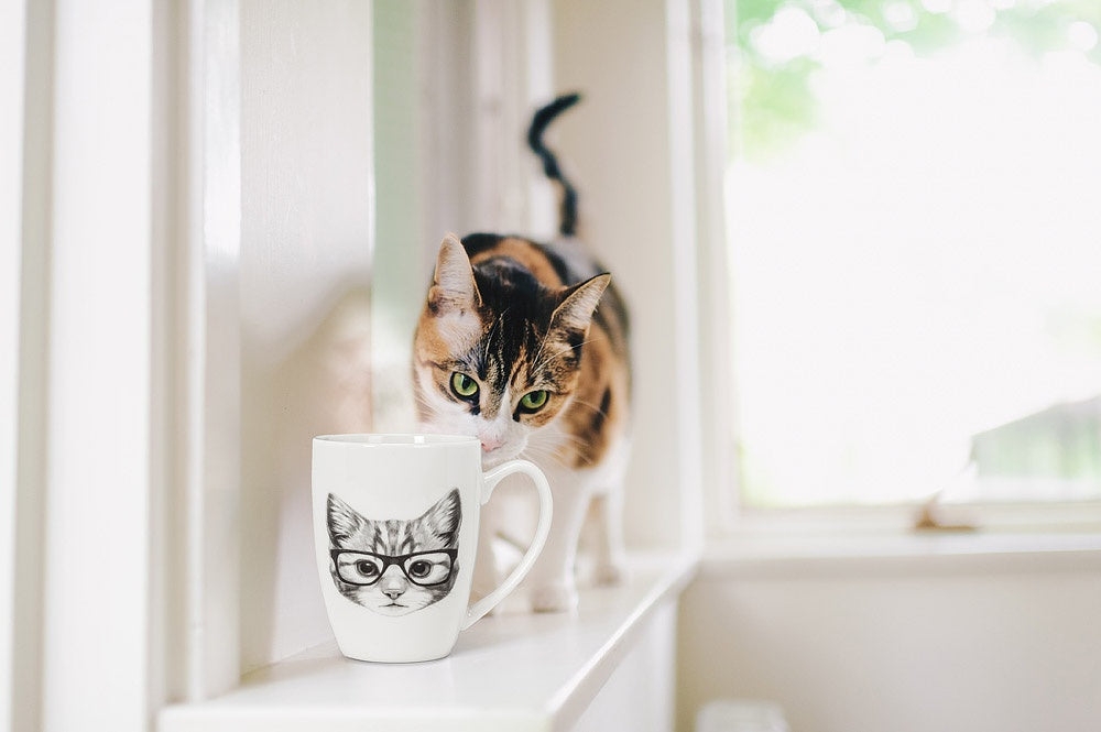 TASSE CHAT A LUNETTE 12OZ
