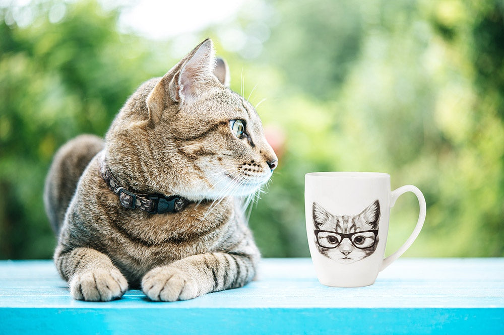 TASSE CHAT A LUNETTE 12OZ