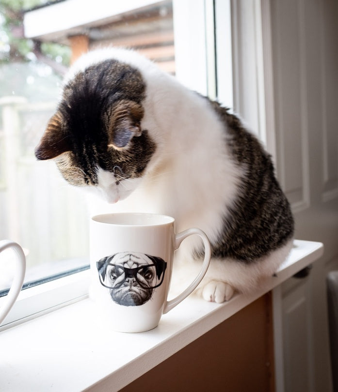 TASSE PUG A LUNETTE 12OZ
