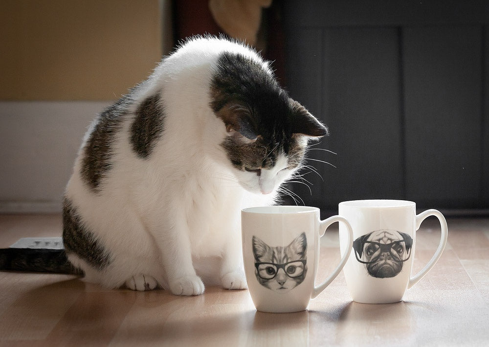 TASSE PUG A LUNETTE 12OZ