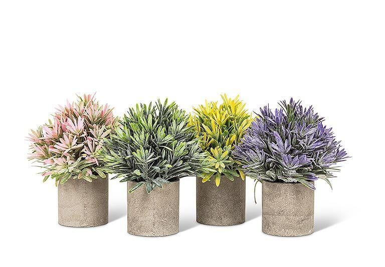 BOUQUET POT CYLINDRE CIMENT ASSORTIE