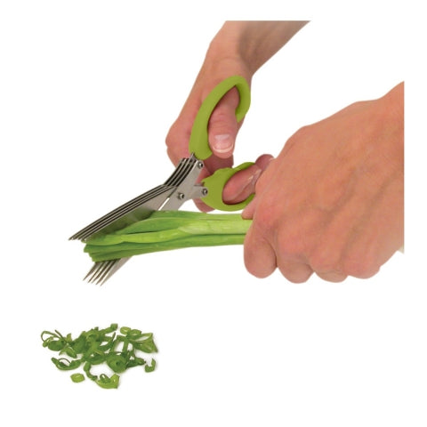 CISEAU À FINES HERBES