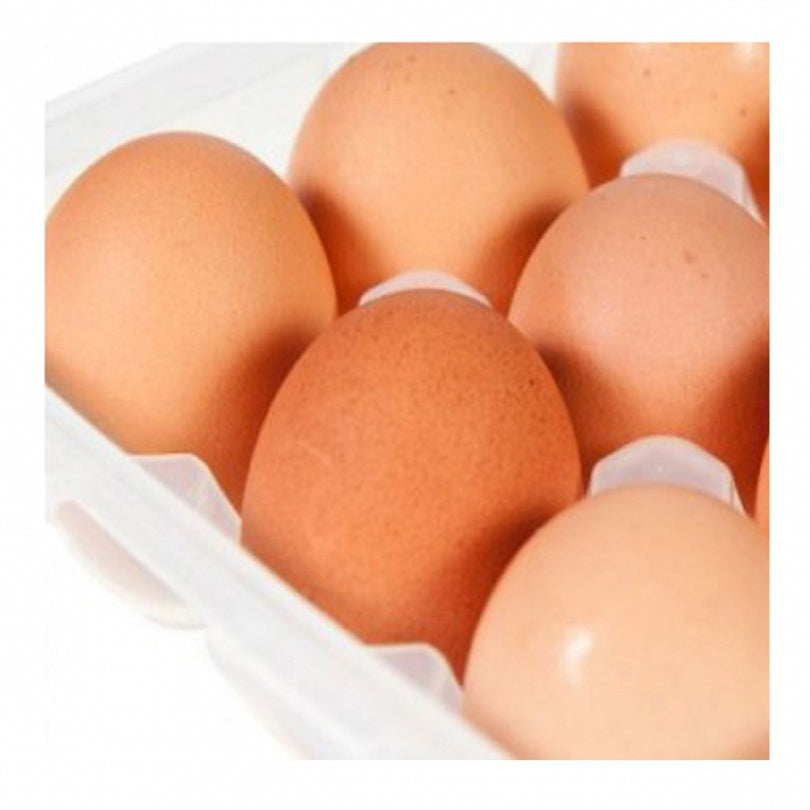 CONTENANT 18 OEUFS L&L