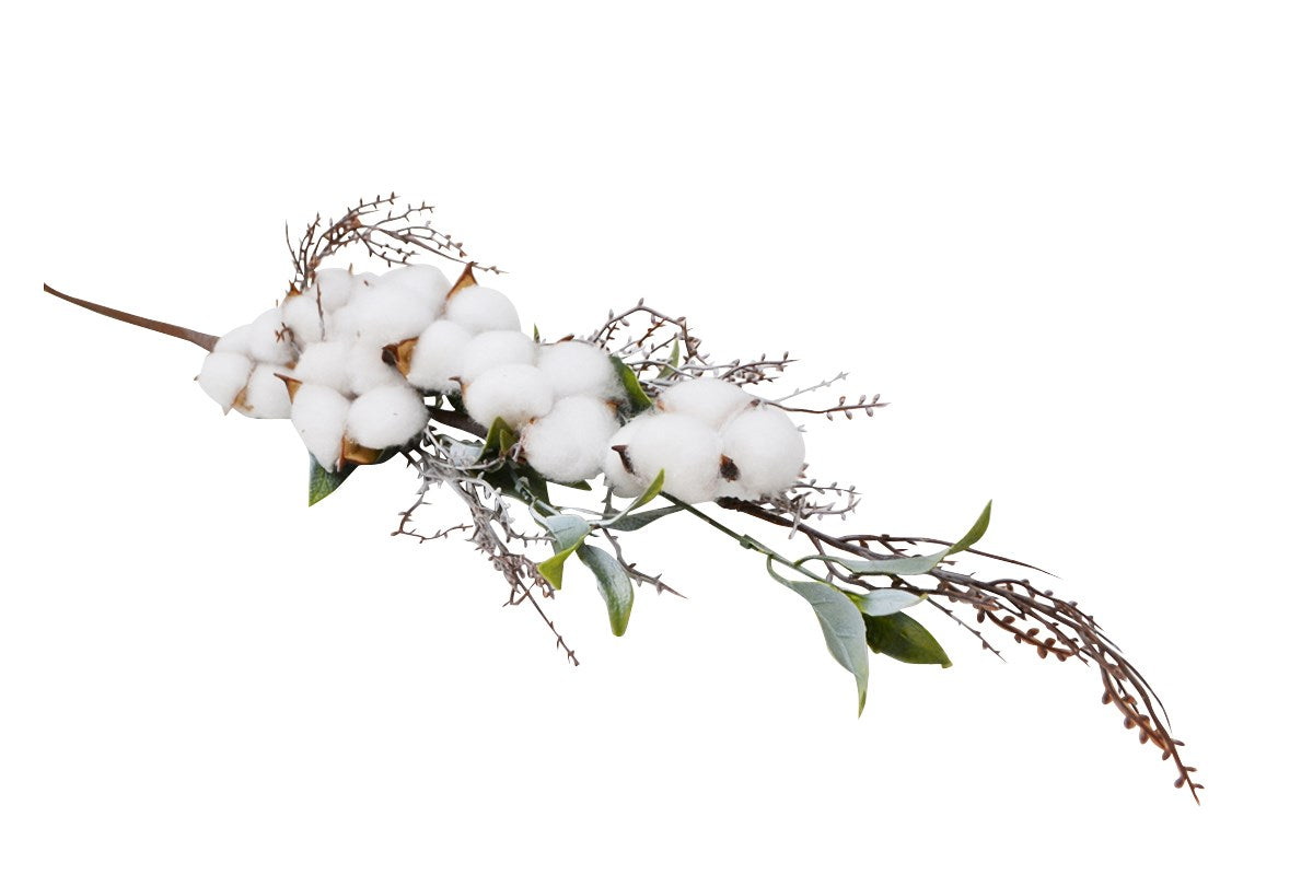 FLEUR DE COTON