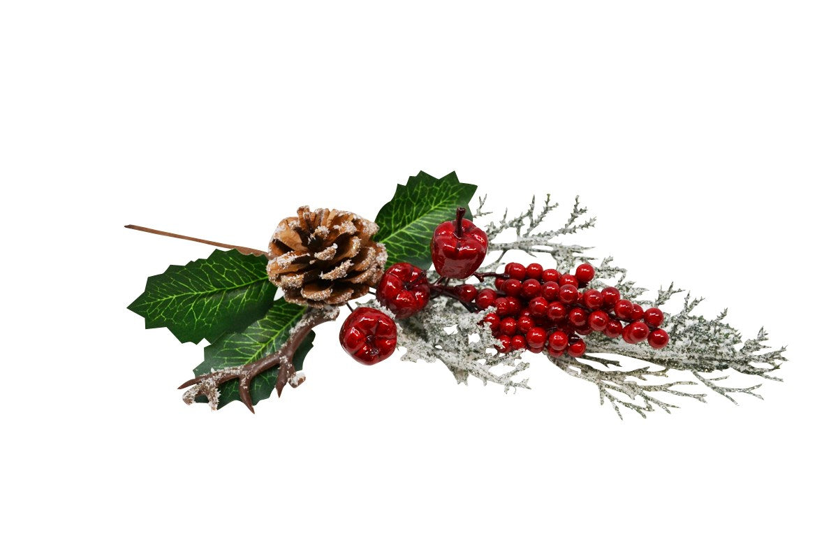 BRANCHES BAIES ROUGES