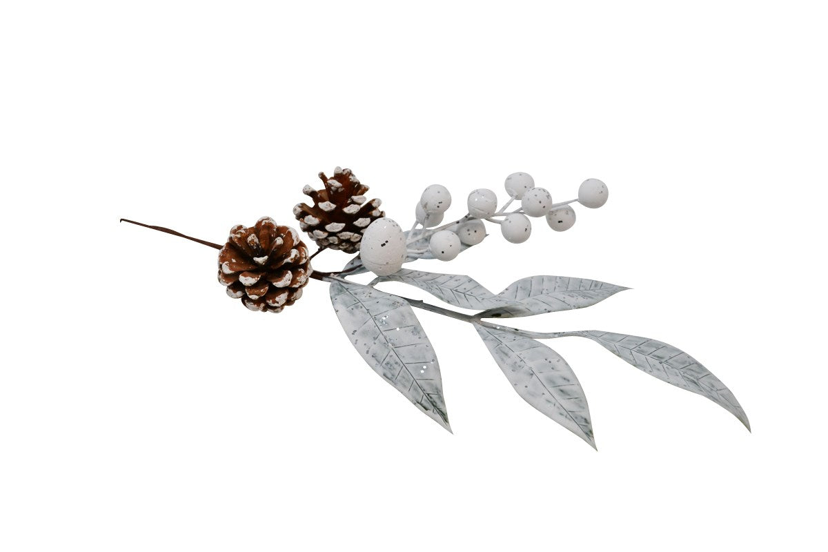 BRANCHES BAIES BLANCHES