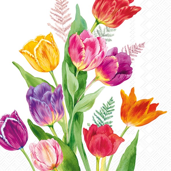 PQT 20 SERVIETTES COCKTAIL TULIPES