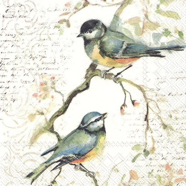 PQT 20 SERVIETTES COCKTAIL OISEAUX