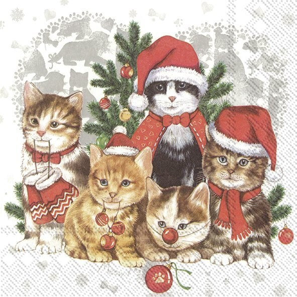 PQT 20 SERVIETTES CHATS DE NOEL