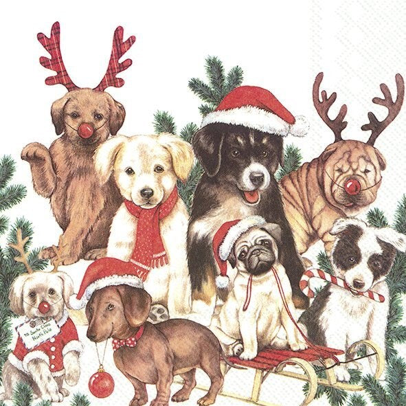 PQT 20 SERVIETTES PAPIER CHIENS NOEL