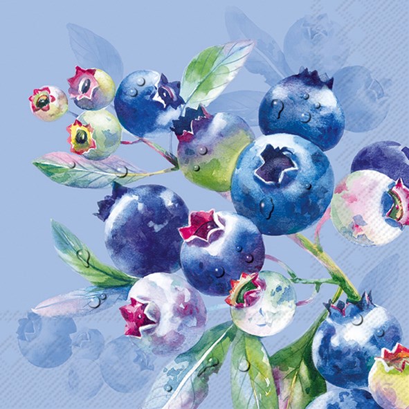 PQT 20 SERVIETTES - BLEUETS