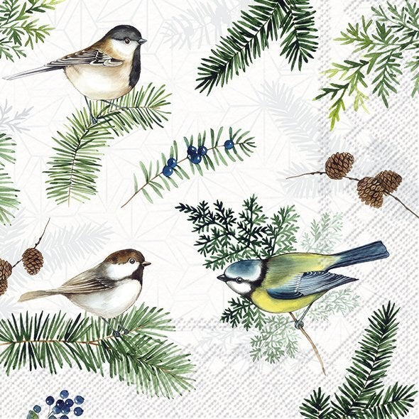 PQT 20 SERVIETTES PAPIER OISEAUX NOEL