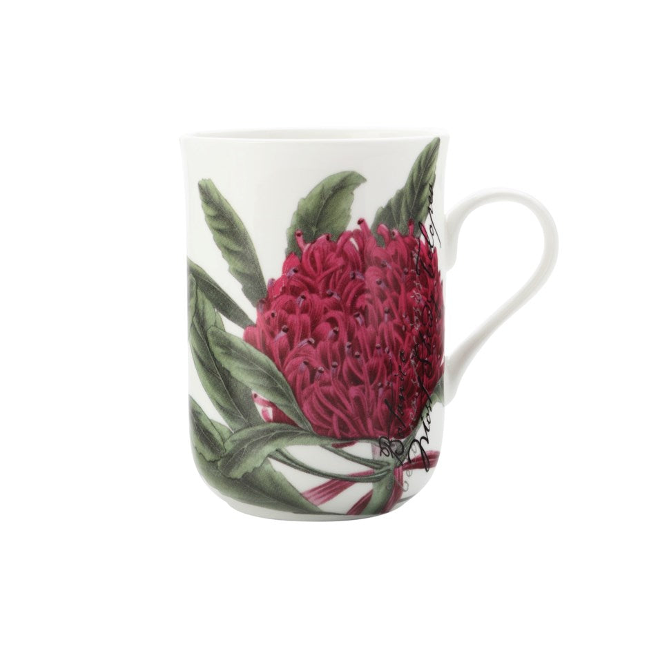 TASSE TELOPEA 300 ML
