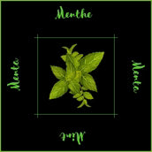 PQT 6 SERVIETTES FINES HERBES