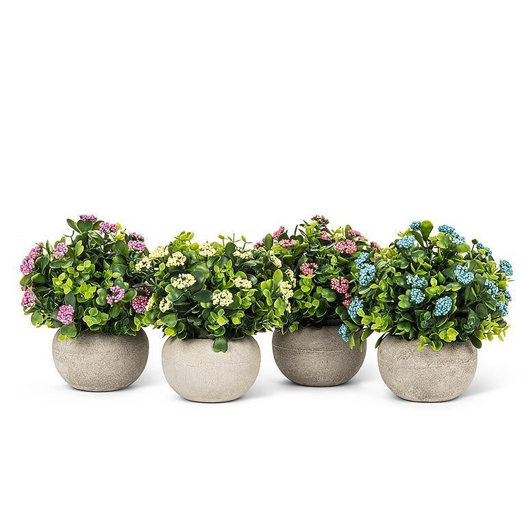 BOUQUET POT ROND CIMENT 6.5 ASSORTIE